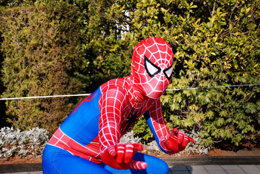 スパイダーマン｜スパイダーマン｜orz
