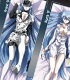 アカメが斬る! 抱き枕カバー #2 エスデス アカメが斬る!/アカメが斬る!/アカメが斬る! 抱き枕カバー #2 エスデス