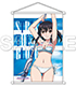 『ストライク・ザ・ブラッド』姫柊雪菜 B2タペストリー 水着Ver. ストライク・ザ・ブラッド/ストライク・ザ・ブラッド/『ストライク・ザ・ブラッド』姫柊雪菜 B2タペストリー 水着Ver.