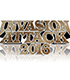 DVD INVASION ATTACK 2016 新日本プロレスリング/新日本プロレスリング/DVD INVASION ATTACK 2016
