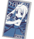 Fate/Fate/tiger colosseum/タイガーころしあむ･セイバー名刺ケース