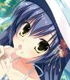 ブシロードスリーブコレクション ハイグレード Vol.502..